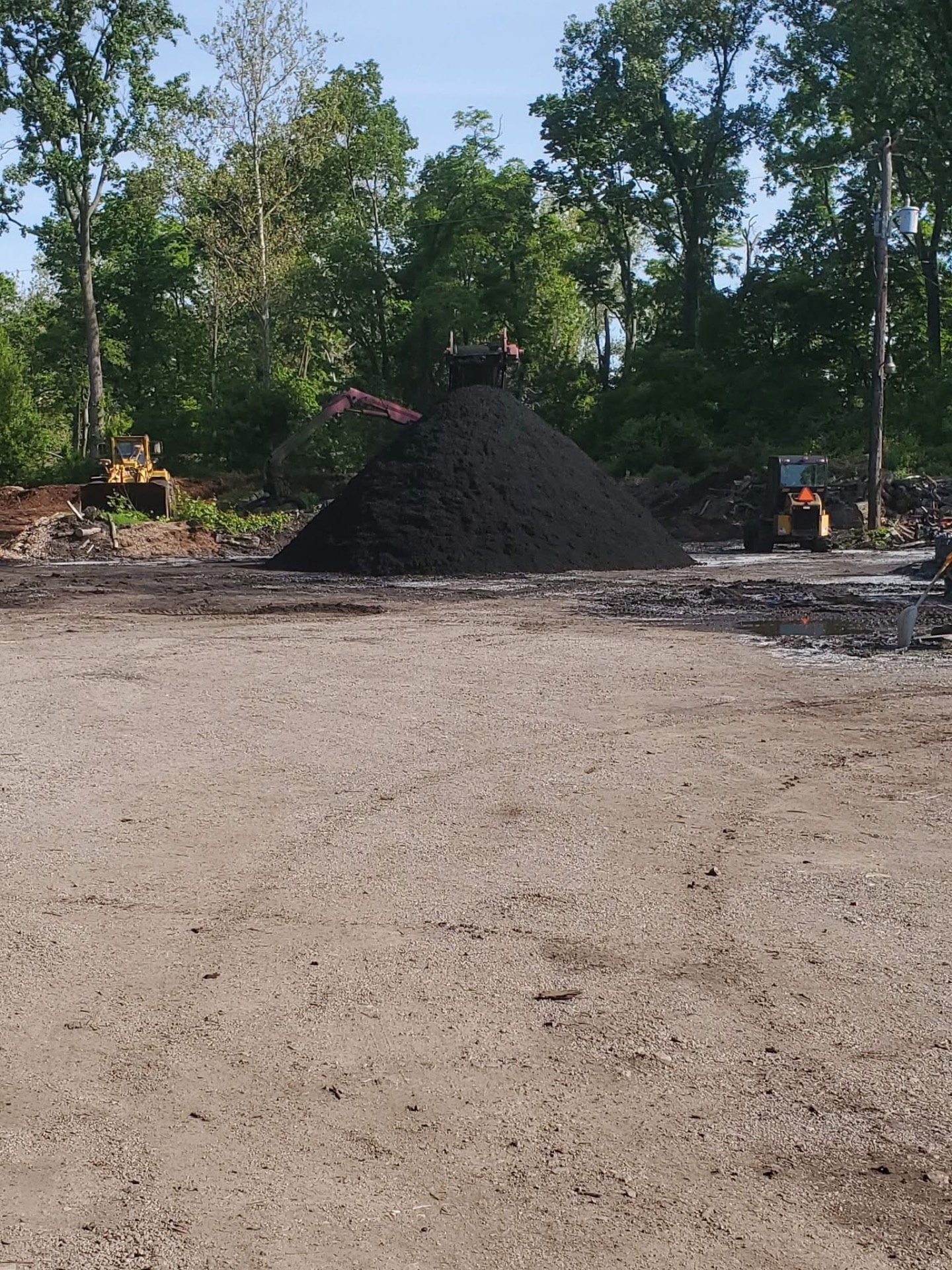 Loader building a fresh hardwood mulch pile at the Martins Tree Service yard